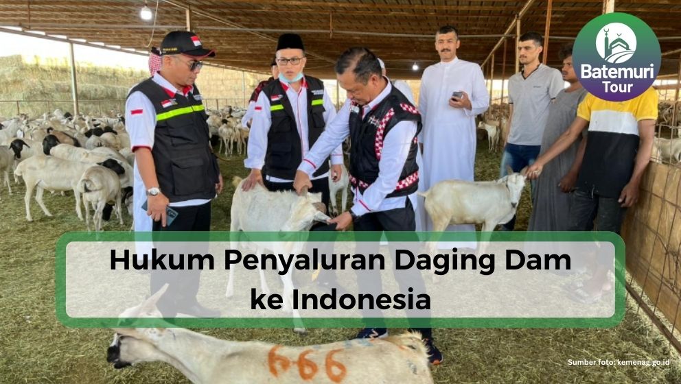 Daging Sembelihan Dam Akan Didistribusikan ke Indonesia, Bagaimana Hukumnya ?